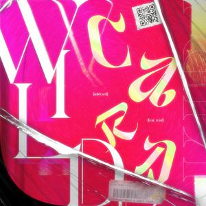 日韩午夜无码精品试看
