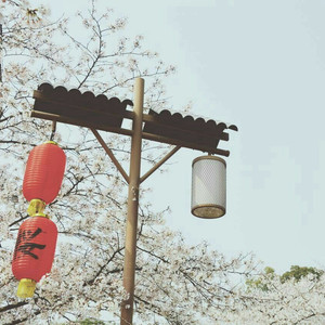 日韩午夜无码精品试看
